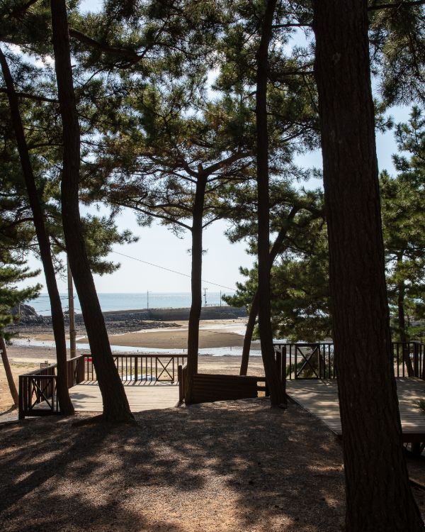 곰섬캠핑장 사진 2