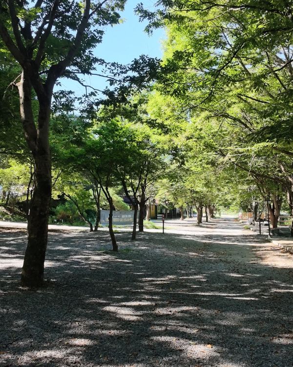 지지밸리 유명산 오토캠핑장 사진 1