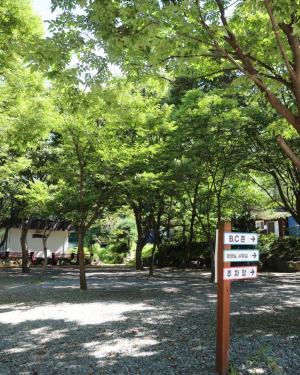 지지밸리 유명산 오토캠핑장 사진 2