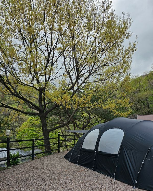 우니메이카 산청 사진 2