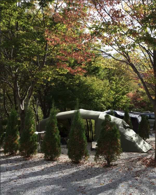봉화별캠핑장 사진 1