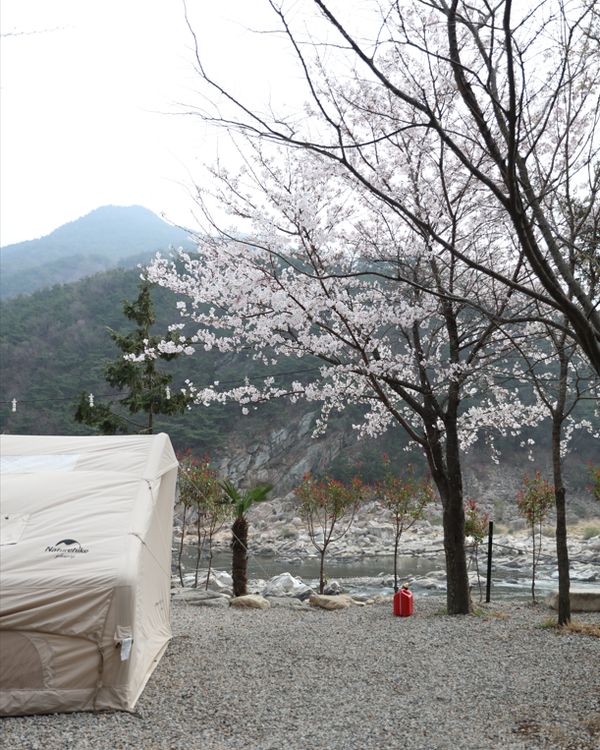 캠프627 경호강 사진 2